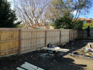 IMG-20250429-WA0040